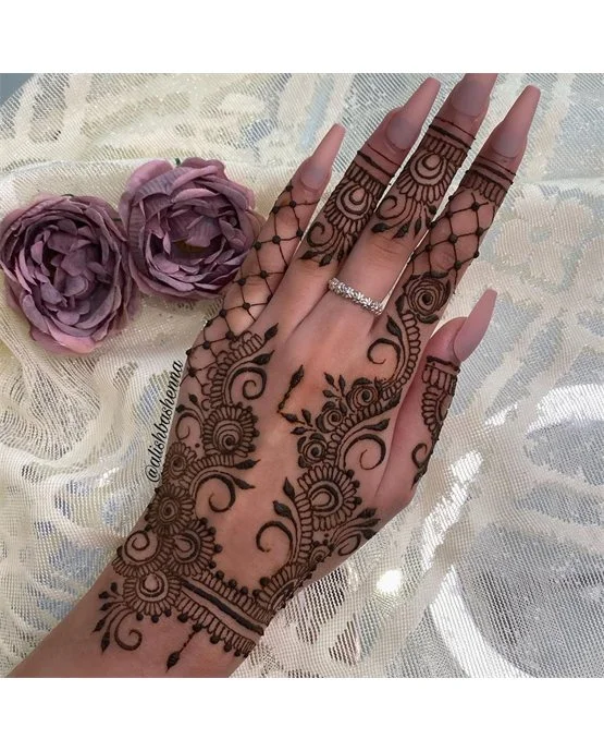 Beautiful Paisley With Mesh Covering Back Hand Mehndi Design